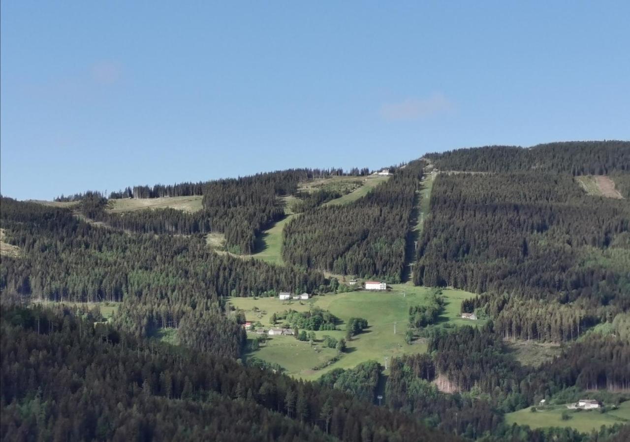 Mönichkirchen Alpengasthof Fernblick מראה חיצוני תמונה