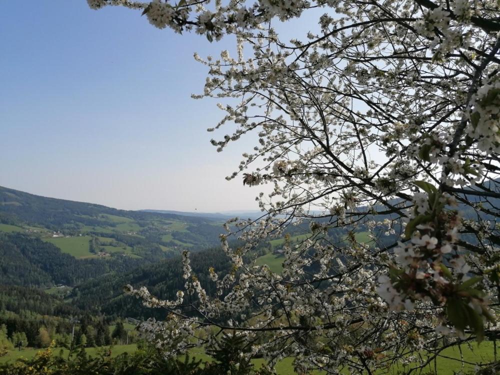 Mönichkirchen Alpengasthof Fernblick מראה חיצוני תמונה